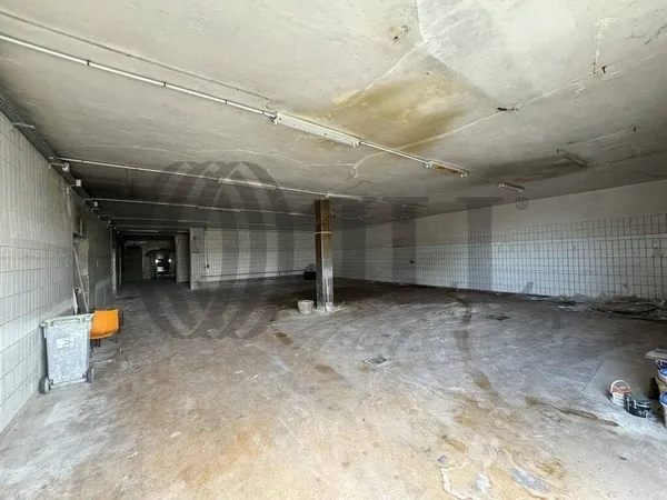 Local d'activité 939 m²