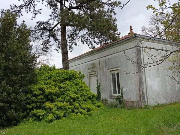 Special investisseur propriete en centre ville