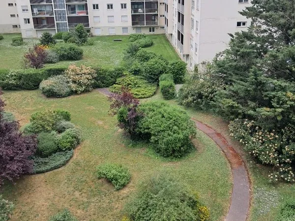 Apparemment