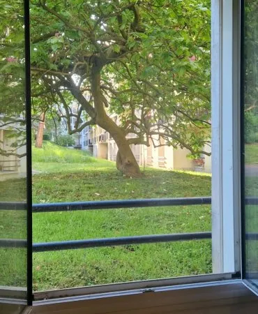 Appartement 1 pièce 12 m²
