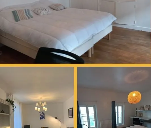 Chambre 20 m2 dans colocation spaieuse en centre ville