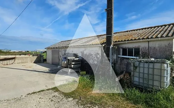 Propriété de loisirs 1 pièce(s) 50 m2