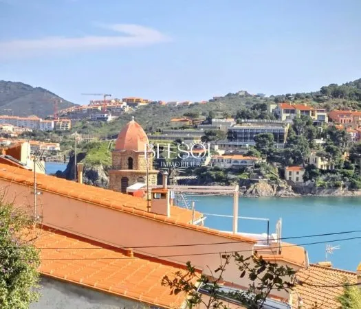 COLLIOURE LE MOURE Appartement T2 38 m2 + Cave