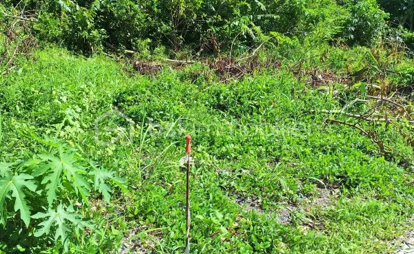 Terrain 369 m²
