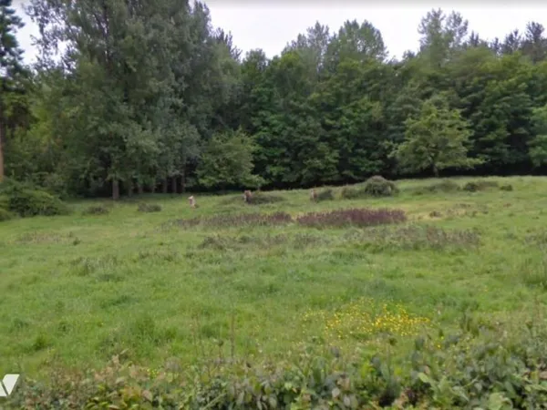 Terrain 2135 m²