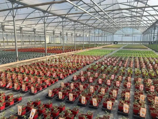 Proche Aire sur l' Adour - Propriété horticole de 3ha