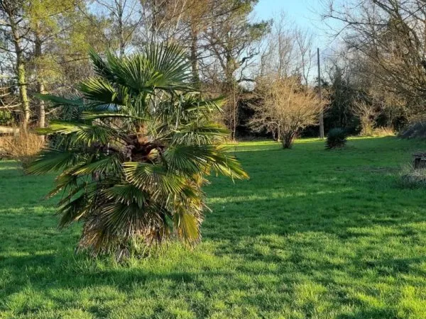 Maison 6 pièces 200 m²