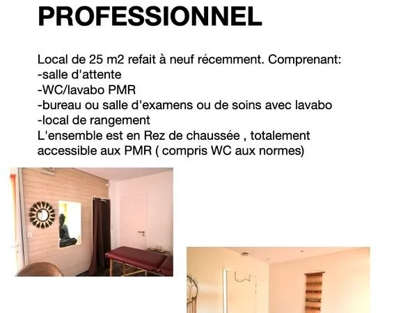 Local professionnel RdC centre ville de Nay