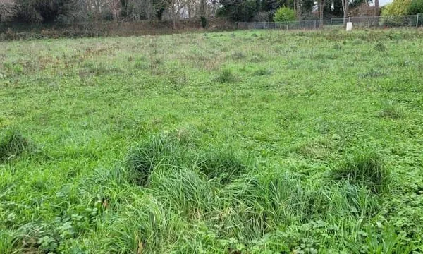 Terrain constructible 899 m²