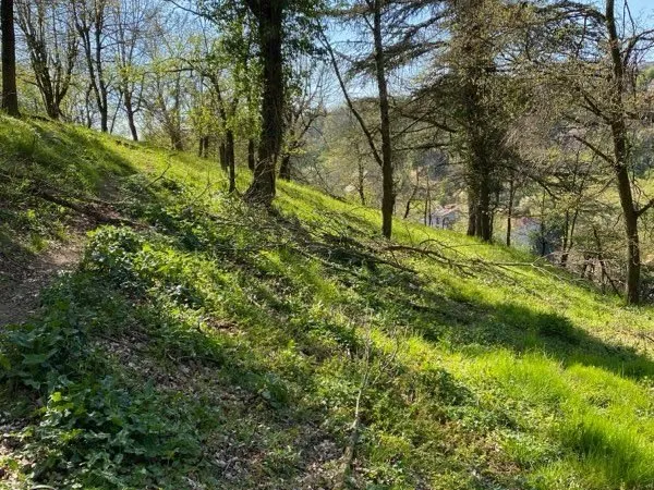 Location terrain vienne