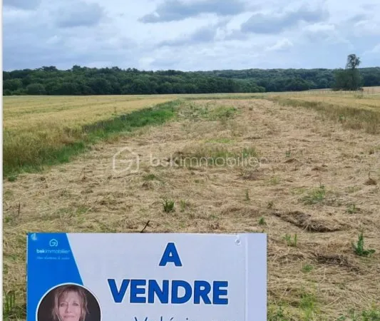 Terrain 1084 m²