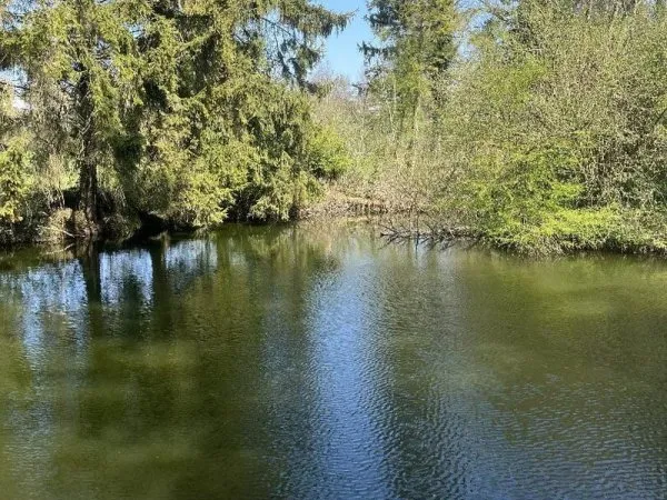 Plan d'eau Vente Moreuil  17443m² 67000€