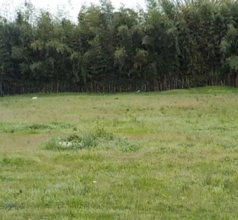 Terrain à bâtir à Artigues