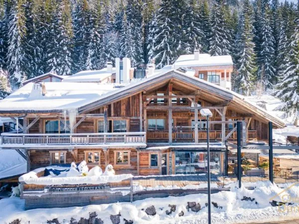 Hôtel et Chalets au pied des pistes