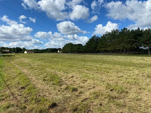 Terrain constructible Chatillon Sur Cher 9664 m2