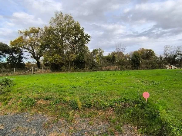 Terrain 443 m²