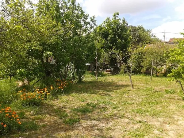 Terrain De 540M² Cloture Et Arbore