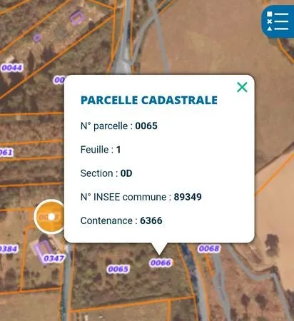 Terrain de loisirs 6386 m² avec PUITS et CAVE - 89630