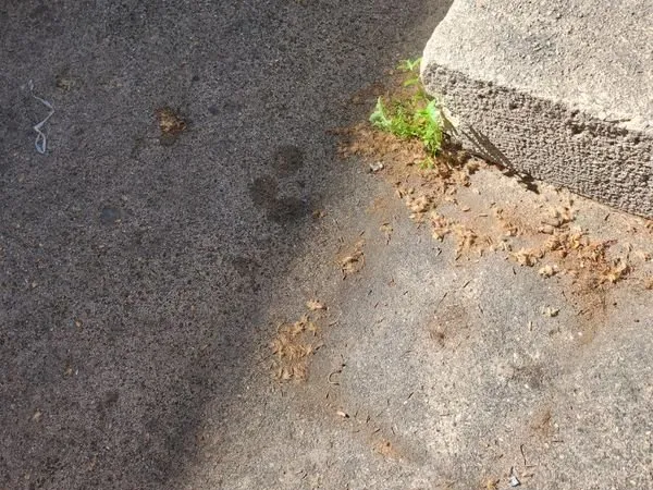 Place de parking a louer dans une résidence sécurisée