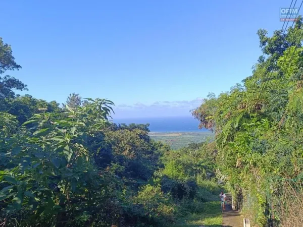Terrain de 5462 m2 constructible aux Avirons avec une superbe vue sur le lagon