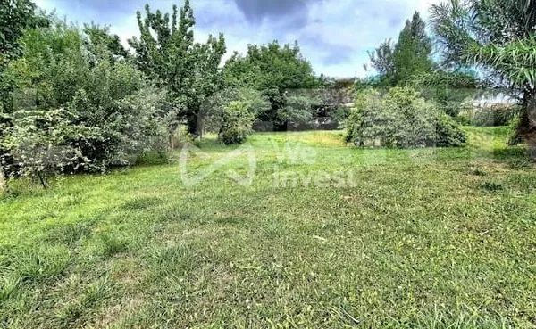 Terrain 534 m²