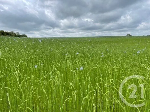Terrain constructible 755 m²