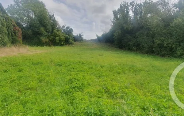 Terrain 1011 m²