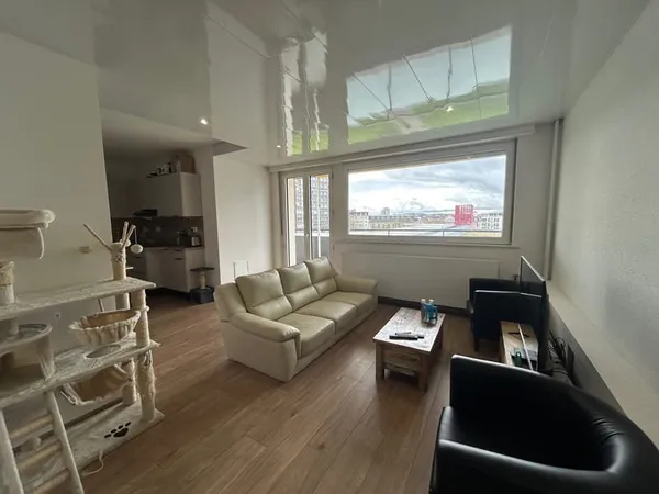MAGNIFIQUE CO-LOCATION A MULHOUSE