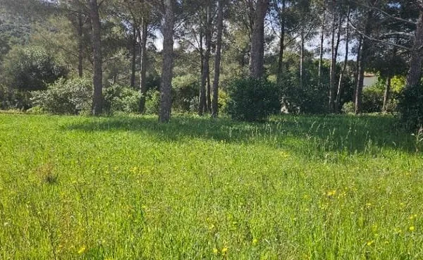 Terrain 1500 m²