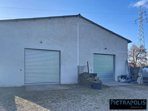 Immobilier Professionnel à vendre Arnas