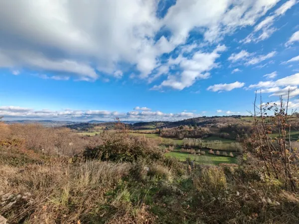 Terrain 2591 m2