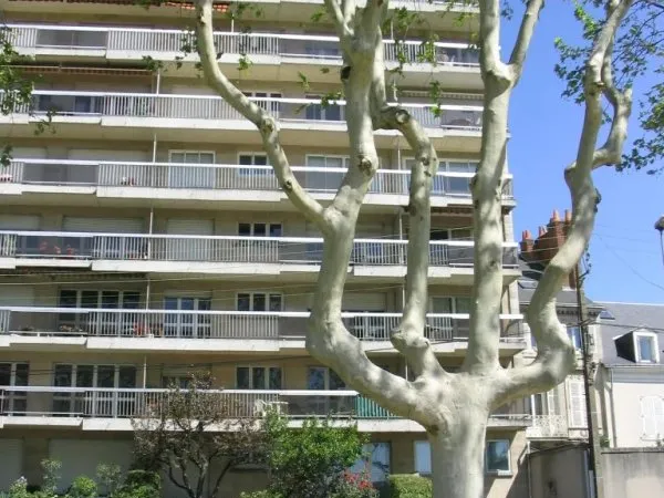 Superbe vue sur Loire Appartement 2 pièces de 47,25 m² Balcon ex