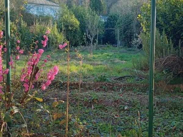 Terrain constructible