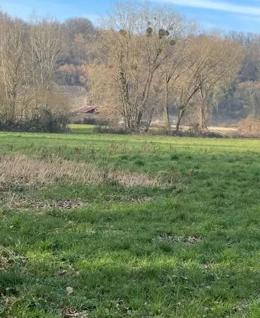Terrain agricole