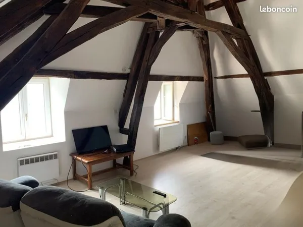 Appartement Bourges Centre