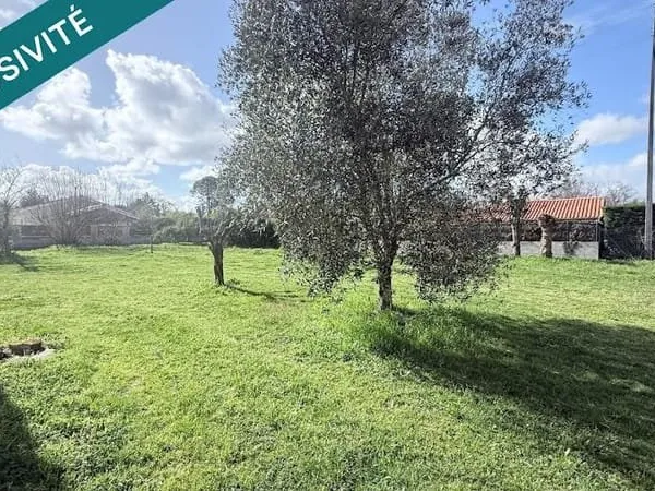 Terrain 656 m²