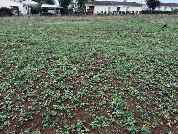 Terrain constructible 746 m²