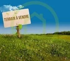 Terrain boisé - forêt