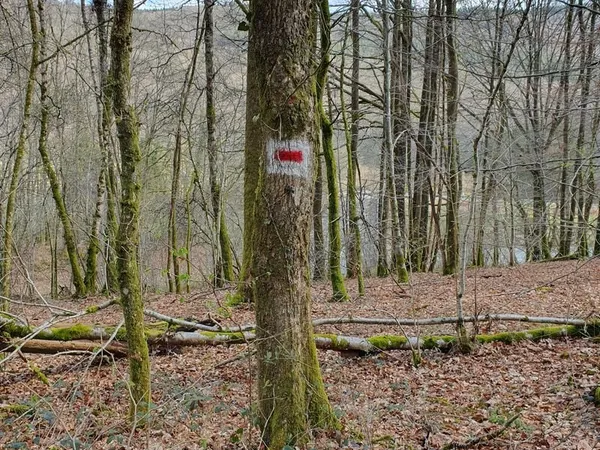 Parcelle de bois de 1 386 m2 entre Naux et Nohan