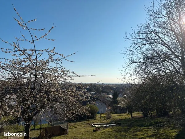 Villa contemporaine d'exception avec vue panoramique - Soultz