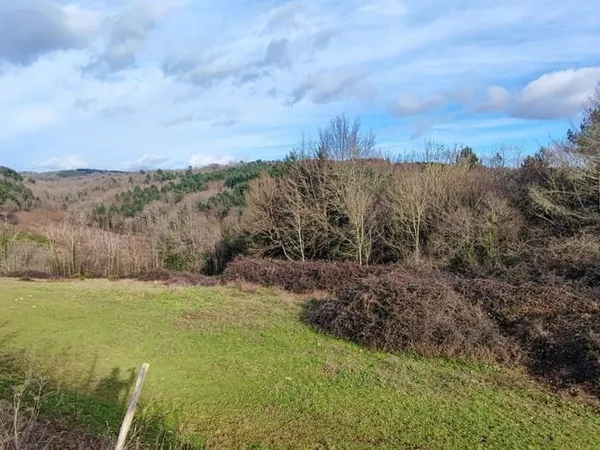 Terrain 1705 m²