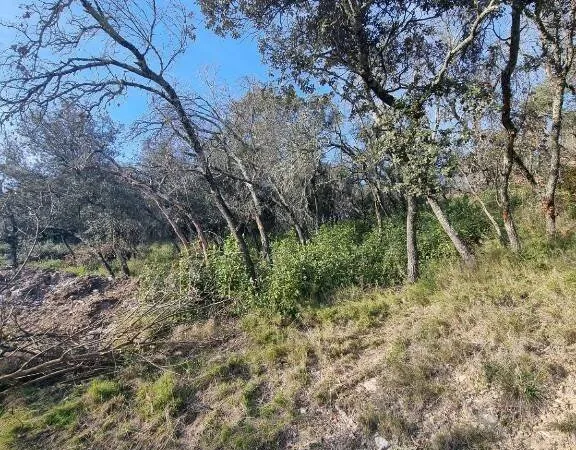 Terrain 1502 m²
