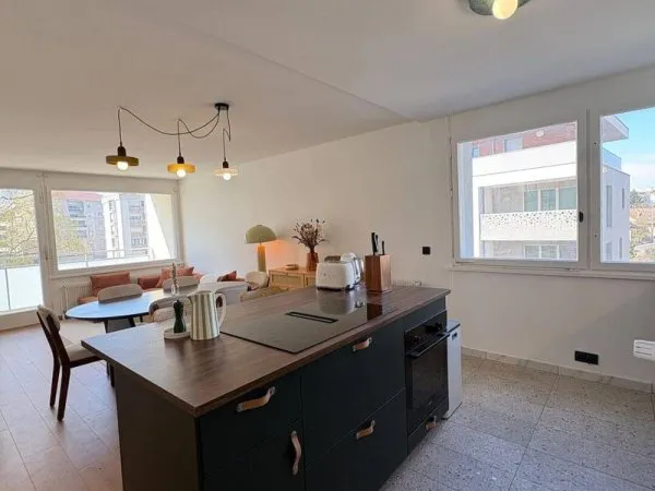 Appartement 3 pièces 73 m²