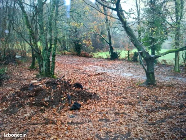 Terrain de loisir boisé