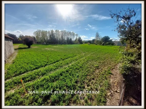 Dpt Hautes Pyrénées (65), à vendre MOMERES terrain