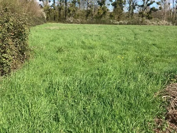 Terrain constructible 2000m2 blancafort 18410
