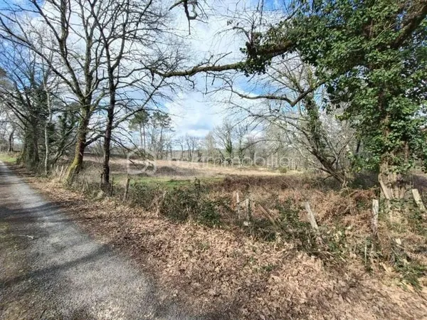Terrain constructible 2301 m²