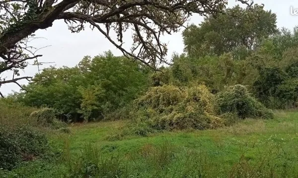 Terrain 2430 m² SELENS