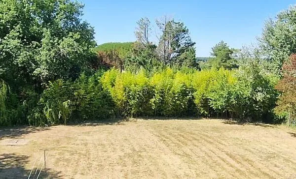 Terrain à bâtir Vente Saint-Sulpice-de-Royan  2038m² 253000€