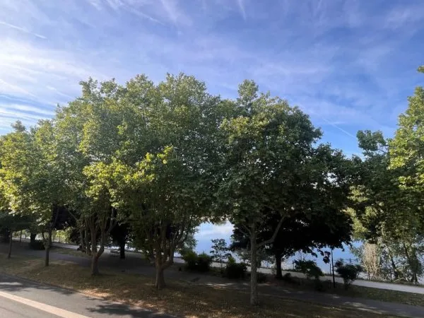 APPARTEMENT T2 - VUE LOIRE - VENDU LOUE -
